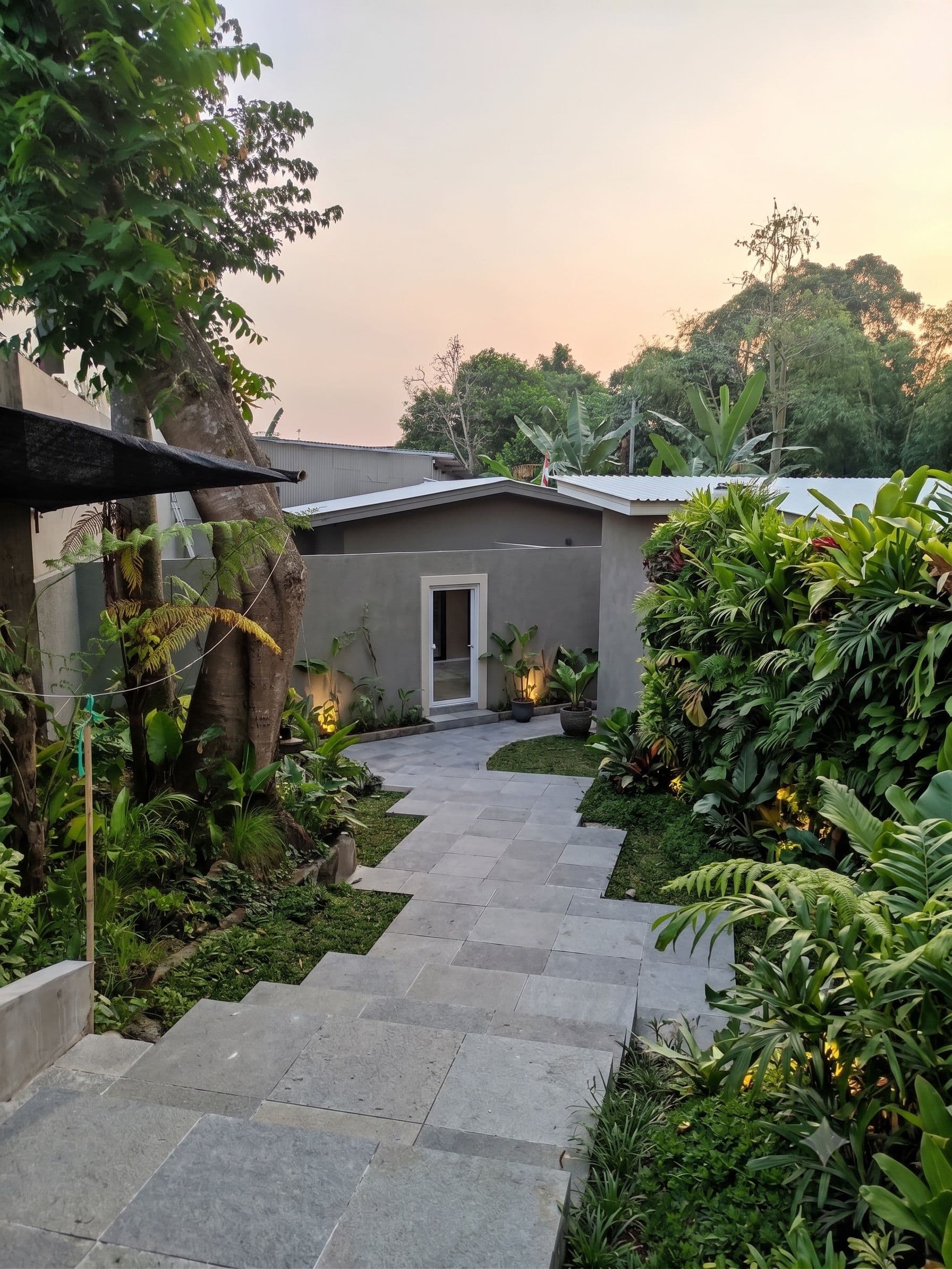 Wake Up with Nature
